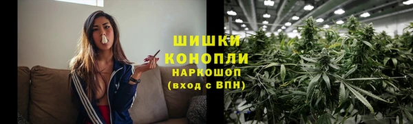 PSILOCYBIN Коряжма