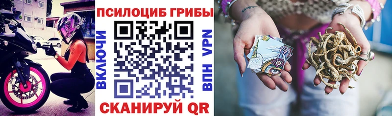 Галлюциногенные грибы GOLDEN TEACHER  Купить закладки  Свирск 